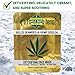 Belize Seaweed Face Mask with Pure Hemp Seed Oil – 6 Pack Bundle