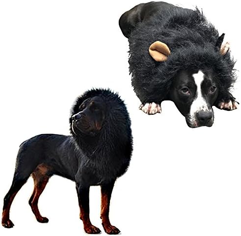 Dog Lion Mane, Lion Wig Dog Costume Dog Clothes Dress Adjustable Fancy Lion Hair for Medium to Large Sized Dogs for Festival Party Christmas Easter Gift (Black)