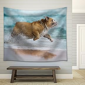 Happy Dog Bulldog Running at The sea - Fabric Wall Tapestry Home Decor - 51x60 inches