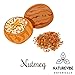 Naturevibe Botanicals Nutmeg Whole 1.76oz (50gm) | Non-GMO and Gluten Free | Indian Spice | Adds Aroma and Flavor
