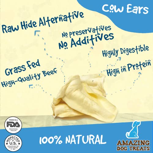Cow Ears for Dogs Full Size (12 Pack) ThickCut 100 Beef All