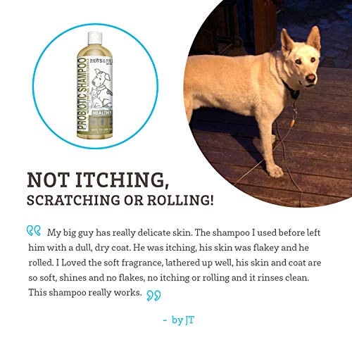 Dog Shampoo for Dry Itchy Skin Smelly Dogs Cats Probiotic Shampoo