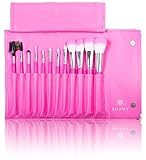 SHANY Pro Vegan Mineral Brush Set with Pink Clutch