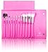 SHANY Pro Vegan Mineral Brush Set with Pink Clutch