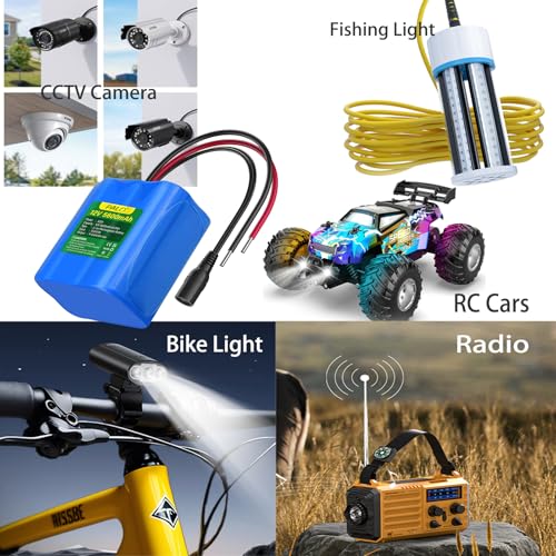 Mspalocell Rechargeable 12V 5600mAh Lithium ion Battery Pack with Charger Bare Leads Wire for 12V Devices RC Car,LED Strip,DIY Project,Electronic Organ,Optical Network Unit,CCTV Camera,Solar Panel