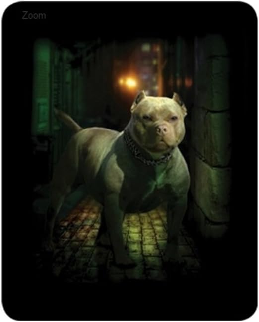 basic grooming supplies