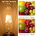 Santaro 4W 3pack Warm White Dimmable Edison Vintage LED Filament Bulb - Soft White Replace 20W Incandescent, E26 110V 80Ra LED Edison Style Retro ST64