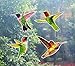 Anti-Collision Window Clings Bird Alert Collision Decals to Prevent Bird Strikes on Window Glass - Set of 12 Hummingbirds