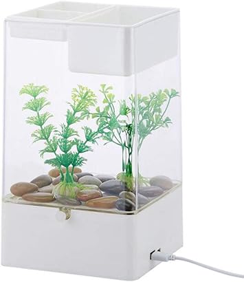 Amazon Stk 水槽 ライト付 観賞魚 水換えが簡単 水槽セット アクリル 水草付き 卓上飾リ 魚飼育 白 Stk 飼育セット 通販