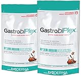 GastrobiPlex Weight Loss Meal Replacement Shake | Feel Full Now Protein & Fiber | Chocolate 2 Pack