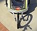 Allen Sports Premier 2-Child Aluminum Bike Trailer/Racing Stroller, Green/Grey