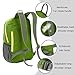 ECOOPRO 20L Lightweight Packable Backpack Hiking Daypacks Foldable Durable Waterproof Travel Daypack for Men Women and Teens (green)