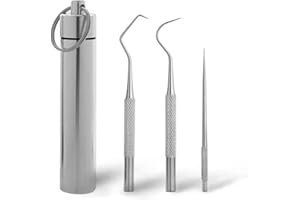 Stainless Steel Toothpick, Metal Toothpick, Stainless Steel Teeth Cleaning Tools with Holder Case, Dental Tools, for Outdoor 