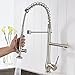 FLG Commercial Style Single Handle Pull Down Kitchen Sink Faucet with Lock Sprayer,Brushed Nickel