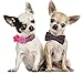 Bow & Arrow Pet Dog Collar Accessories, Four Dog Collar Flowers, Slide On Attachment, Multicolor