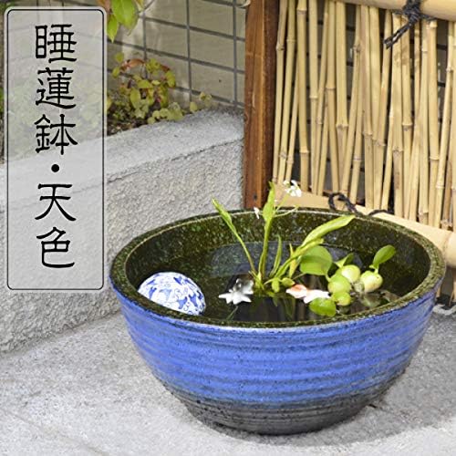 国華園 睡蓮鉢 天色 大 1個 B07r44kql9 3 455円 激安通販ショッピング 超人気 専門店 人気海外一番 超美品再入荷品質至上 当店一番人気