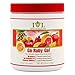 Institute For Vibrant Living Go Ruby Go Nutritional Drink, 8.93 Ounce by Institute For Vibrant Living