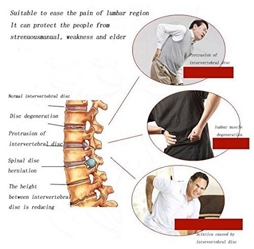 Actopus Magnetic Back Support Belt Pain Relief Brace Therapy