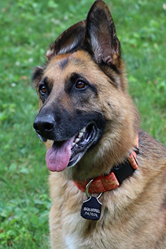 Peace Tag Pictures and Phrases (Squirrel Patrol - Black)