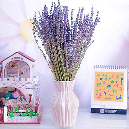 Oopsu 200Pcs 100% Natural Dried Lavender Dried Lavender Flowers for DIY Flower Arrangements Home Party Wedding Decor