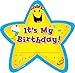 Creative Teaching Press Adhesive Badges - Birthday Star - 6 1/4 x 3 1/4 inch - Pack of 36