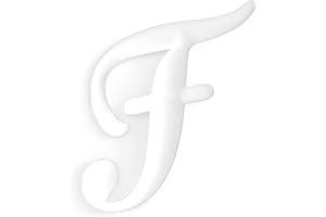 WISH YOUNG 3PCS Letter Charms Compatible with Bogg Bags,2.75 in Large Size Bag Inserts Accessories Decorative Charm for Beach Bag (White, F)