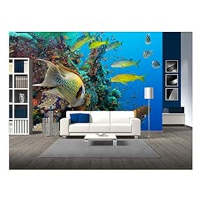Colorful Underwater Offshore Rocky Reef with Coral and sponges and Small Tropical Fish Swimming by in a Blue Ocean - Removable Wall Mural | Self-Adhesive Large Wallpaper - 66x96 inches