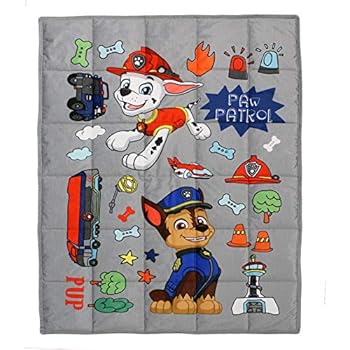 Franco Bedding Super Soft Plush Kids Weighted Blanket, 30