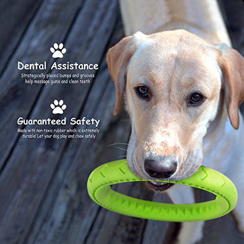 Fluffy Paws 9.7" Soft Durable Rubber Ring Dental Chewing Biting Chasing Training Toy, Green