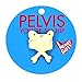 I Heart Guts Pelvis Lapel Pin – You’re So Hip Enamel Pin – Hip Surgery Recovery Gift, Ortho Patient Support, Pelvic Health Awareness, Anatomy Humor