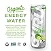 Guru Organic Energy Sparkling Water, Green Tea & Stevia, Variety Pack, 12 Ounce (Pack of 12), Sugar Free