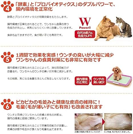 Amazon 酵素とプロバイオティクスのペット 犬 猫 用サプリメント プロキュア 15g 小型犬約2周間 1ヶ月分 プロキュア ドッグフード 通販