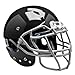 Schutt Sports Adult Vengeance DCT Football Helmet (Faceguard not Included), Black, Large