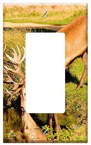 Switch Plate Outlet Cover Deer Stage Animal Red Wild Antlers