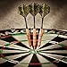 Fat Cat Realtree Hardwoods HD Camo Steel Tip Darts with Storage/Travel Case, 23 Grams