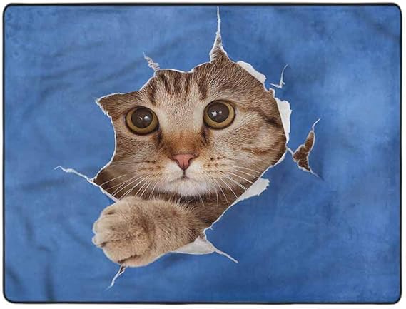 Animal Modern Area Rugs Scottish Cat Adorable Rugs for Bedroom Home