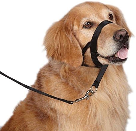 Dog Training Head Collar Halter, Fitcup No Pull Nylon Train Head Collar - Suitable for Training Small/Medium/Large Breeds (M, Black)