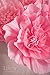 Ling's moment Paper Flowers Decorations, 6 X Pink Crepe Paper Flowers, Large Paper Flowers for Nursery Wall Wedding Backdrop Party Bridal Party Archway, Christmas Decorations