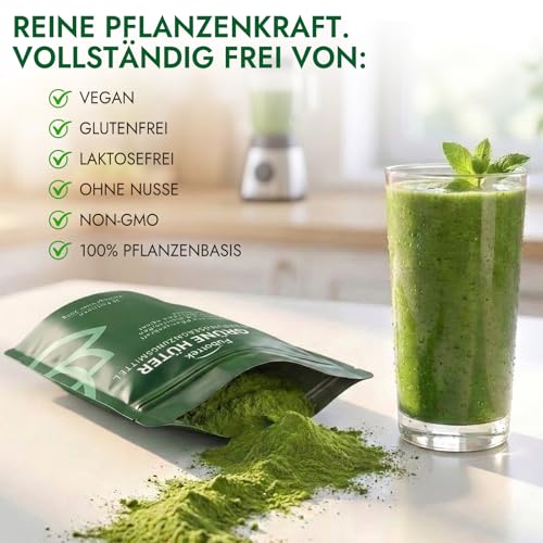Green Detoxification Powder, 200 g Green Superfood Helper Powder, Vegan Greens Powder Helper Mix with Matcha, Barley Grass, Blueberries, Rich in Macronutrients, Micronutrients & Fibre