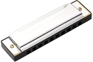10 Holes Harmonica Stainless Steel Mouth Organ Harp Metal Body Reeds Easy to Learn for Beginner Lover Suitable Blues Country 