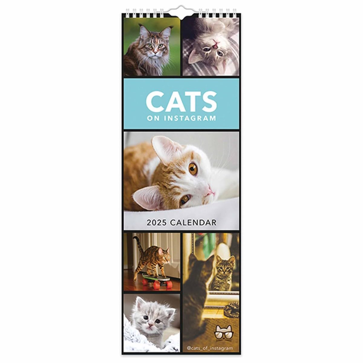 2025 Cats on Instagram Slim Wall Calendar