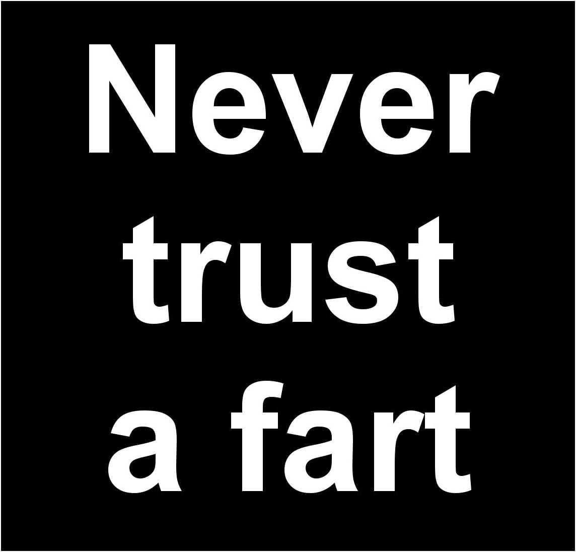 New Paper Sticker Never Trust a Fart Funny Rude Adult Fratboy Joke Shart Farting