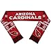 FOCO NFL Light Up Scarf
