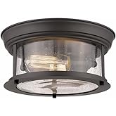 Z-Lite 2 Light Flush Mount 727F10-BRZ