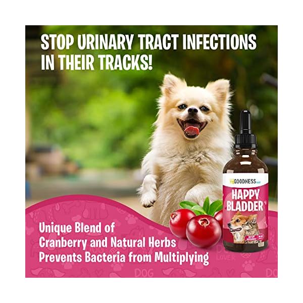 Cranberry Supplements for Dog UTI Cranberry Extract Dog Chews with