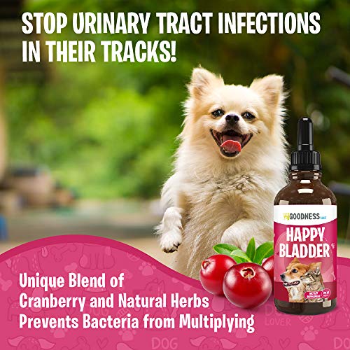 Cranberry Supplements for Dog UTI Cranberry Extract Dog Chews with