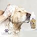 Lillian Ruff Professional Dog Shampoo – Concentrated Dog Shampoo with Aloe – Tear Free Lavender Coconut Scent – Soothe & Cleanse Normal to Dry Itchy Sensitive Skin While Improving Shine – Made in USA