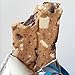 Quest Nutrition Protein Bar, Cookies & Cream, 21g Protein, 4g Net Carbs, 190 Cals, Low Carb, Gluten Free, Soy Free, 2.12oz Bar, 12 Count