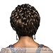 Vivica A Fox H209-V Full Wig