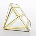 Handmade Gold Open Glass Geometric Terrarium Brass Diamond Succulent Fern Moss Plant Display Container Balcony Small Planter Indoor Centerpiece for Coffee Tabletop Decoration (NO Plants)